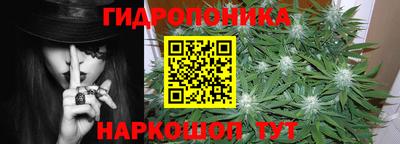 сатива Нальчик