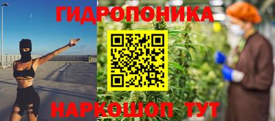 сатива Нальчик