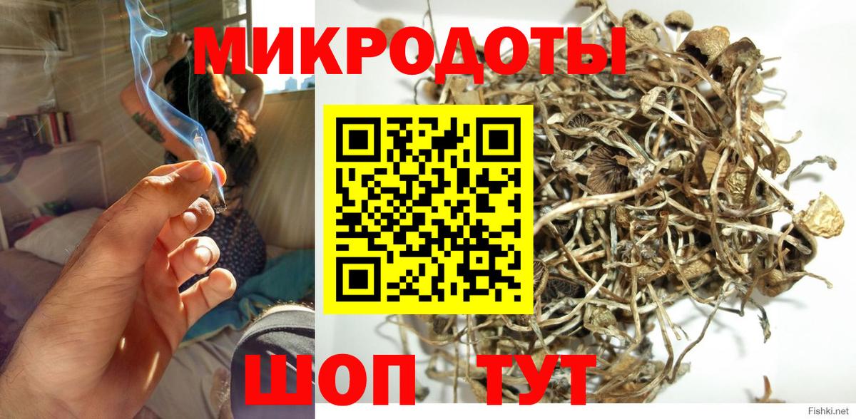 Псилоцибиновые грибы прущие грибы Сочи