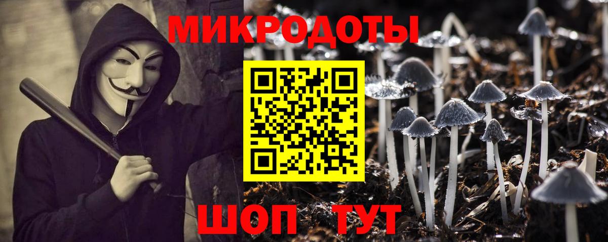 Псилоцибиновые грибы Cubensis  Вход с VPN  Сочи 